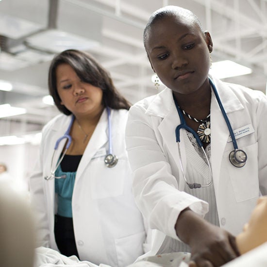 Students learning in lab