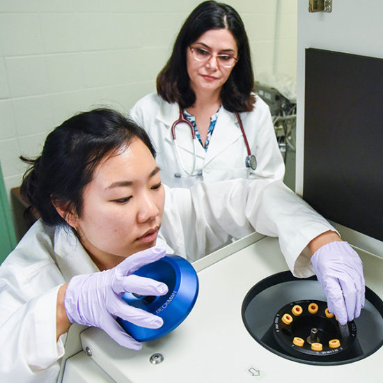 Doctoral students conducting research in lab