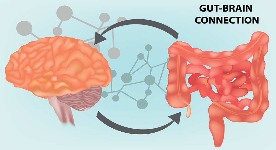 brain-gut-microbiome axis