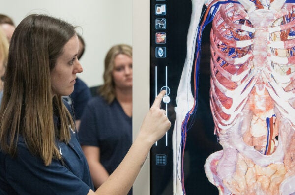 A female student interacts with a large digital screen that features the image of a human cadaver