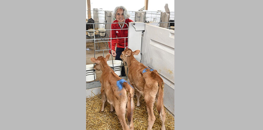 A woman with white hair and a red jacket smiles at the camera while leaving forward to offer her hand to two Jersey calves in a stall in front of her.