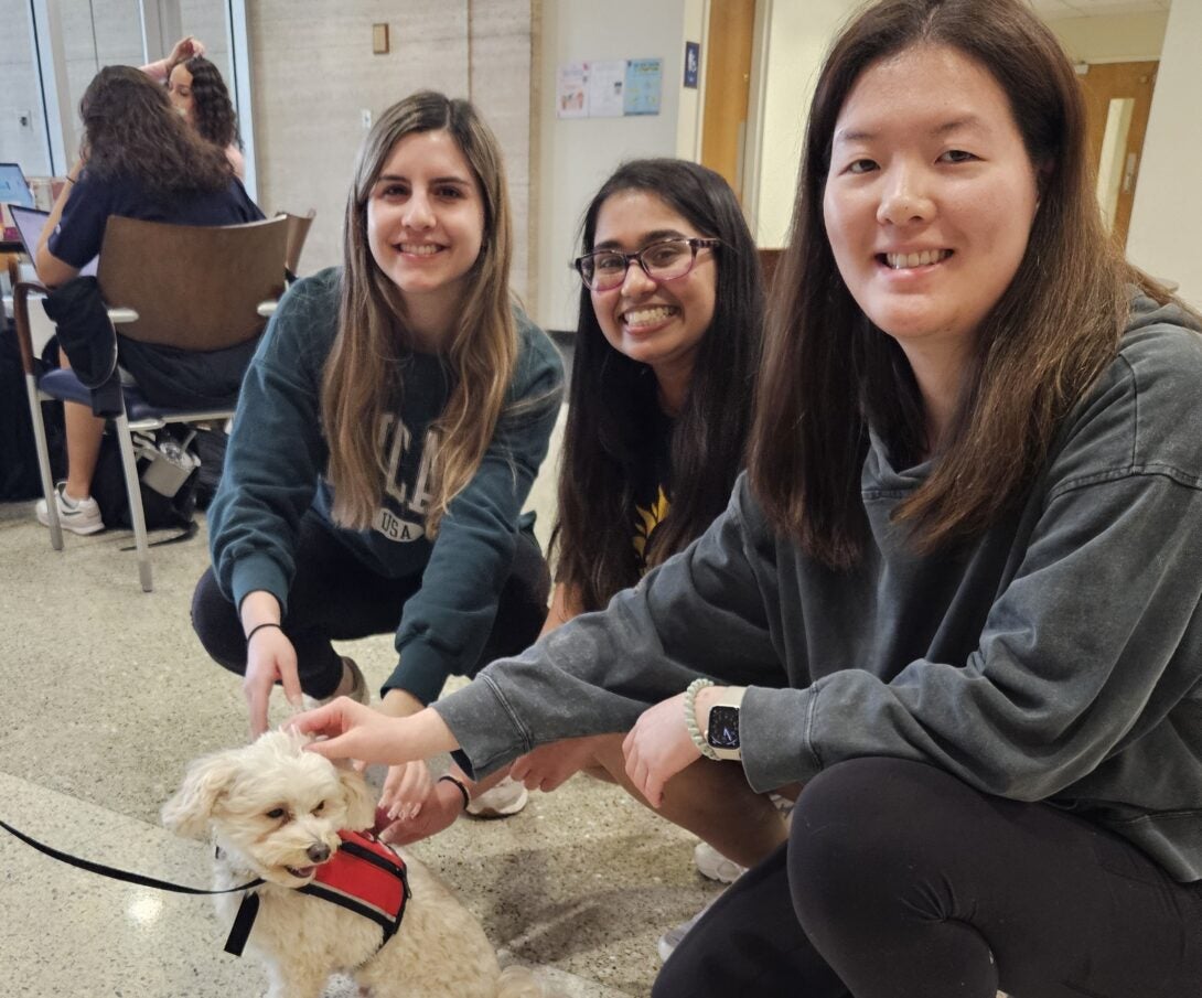 Three students petting a small dog